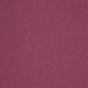 Vibe® Geranium