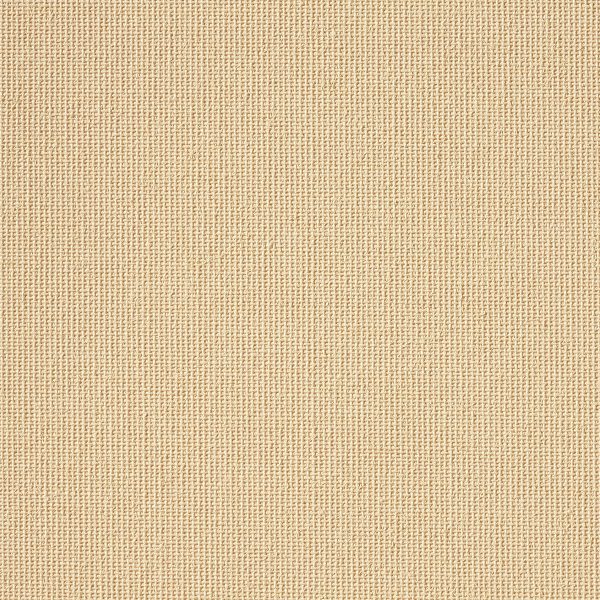 Vibe® Apricot