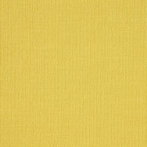 Vibe® Canary