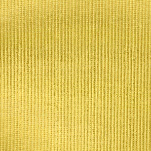 Vibe® Canary