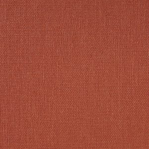 Vibe® Coral