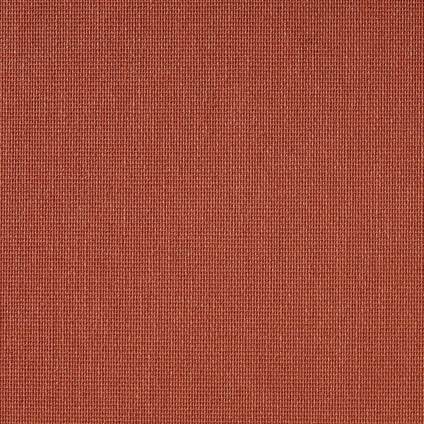 Vibe® Coral