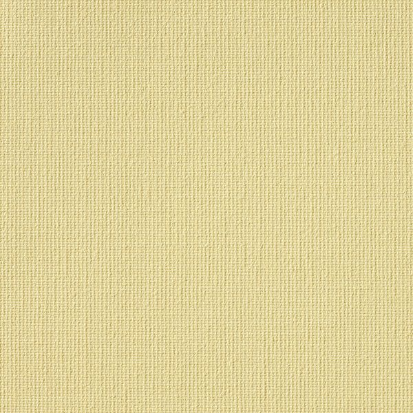Vibe® Cornmeal