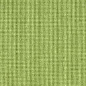 Vibe® Cut Grass