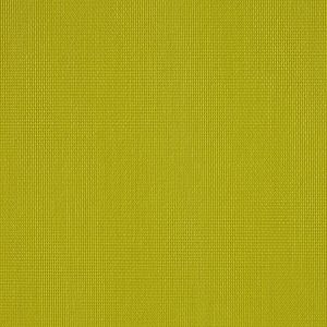 Vibe® Fern