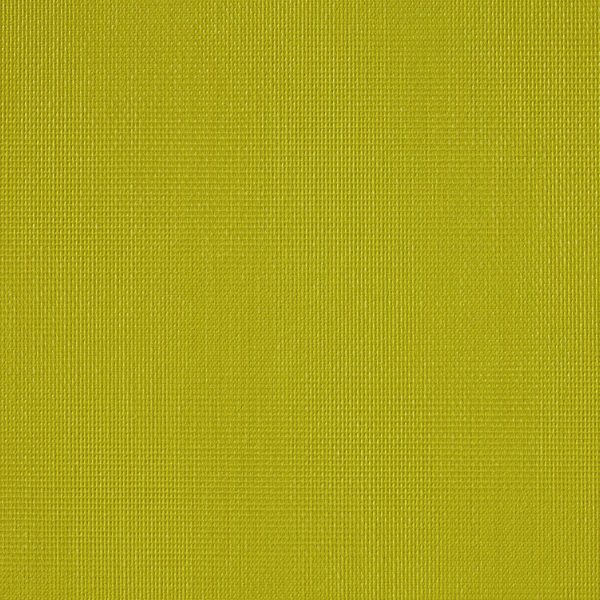 Vibe® Fern