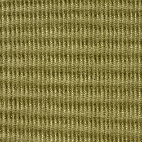 Vibe® Khaki