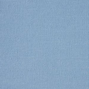 Vibe® Larkspur