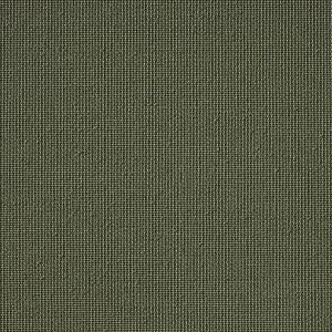 Vibe® Olive