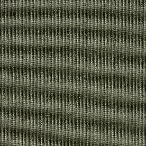 Vibe® Olive