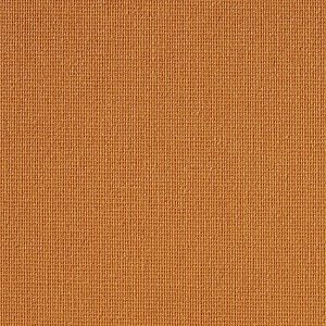 Vibe® Orange
