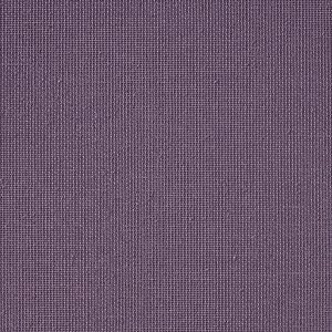Vibe® Plum