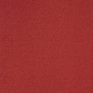 Vibe® Red
