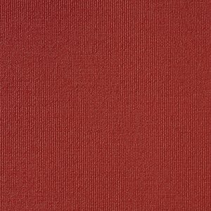 Vibe® Scarlet