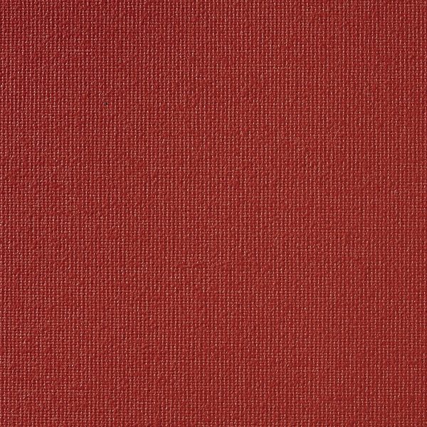 Vibe® Scarlet