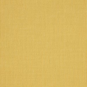 Vibe® Wheat