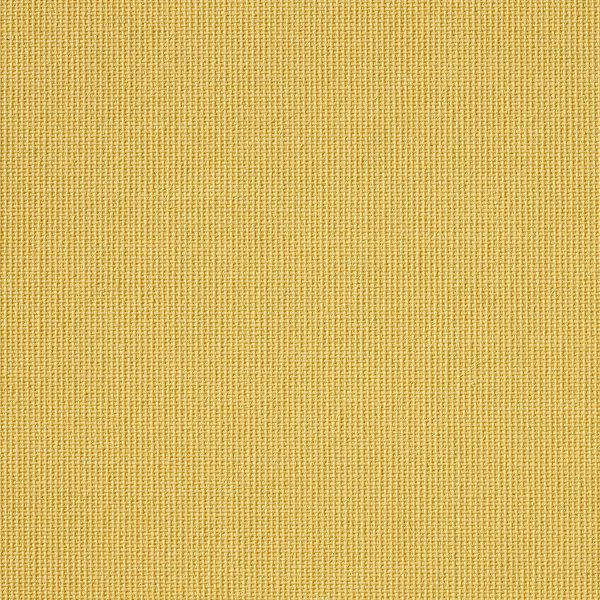 Vibe® Wheat