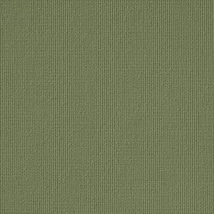 Vibe® Moss