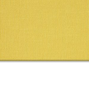Vibe® Canary - White Backed Blackout