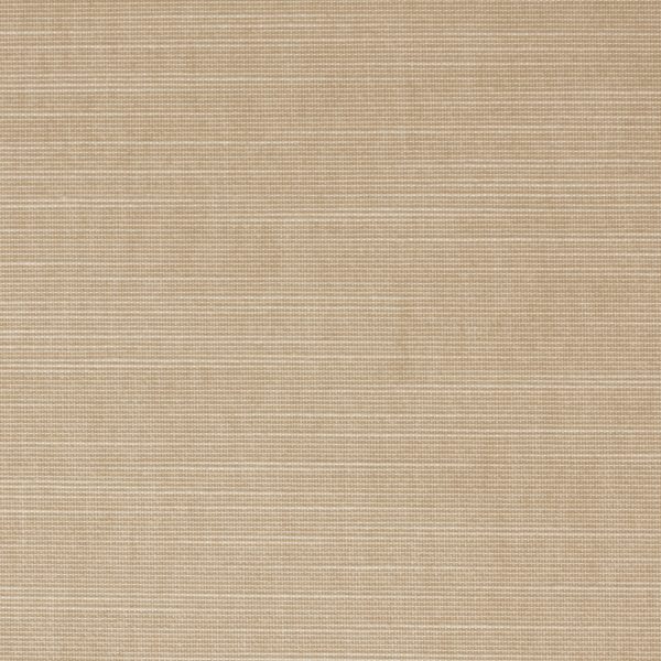 Vibe® Chic Macadamia