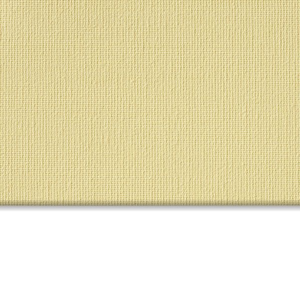 Vibe® Cornmeal - White Backed Blackout