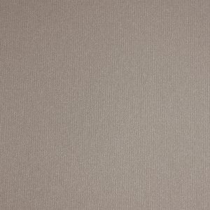 Vibe® Metallic Beige